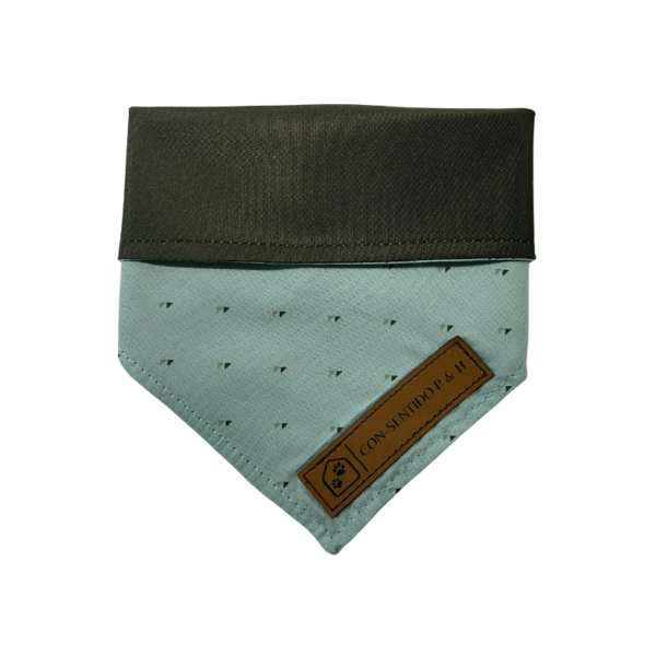 Pañoletas