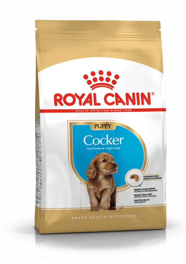 BHN COCKER PUPPY 3KG