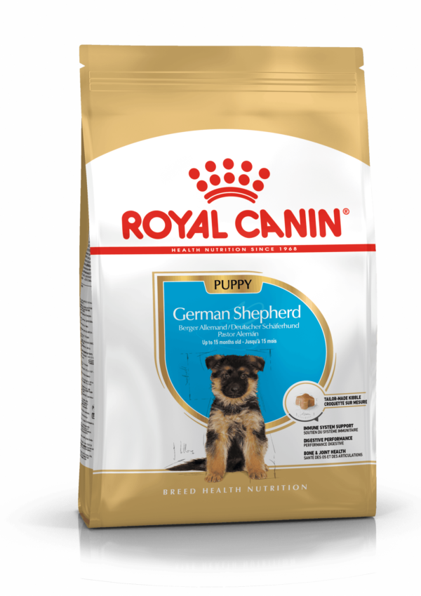 BHN GERMAN SHEPHERD PUPPY 13.6 KG