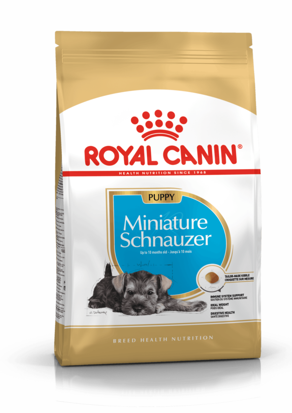 BHN MINISCHNAUZER PUPPY 1.13KG