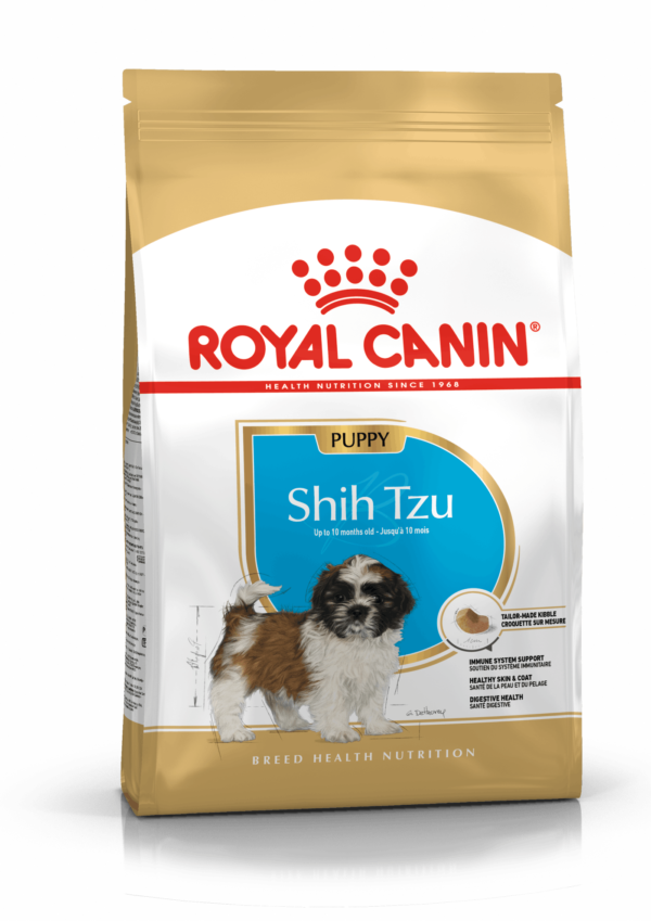 BHN SHIH TZU PUPPY 1.5KG