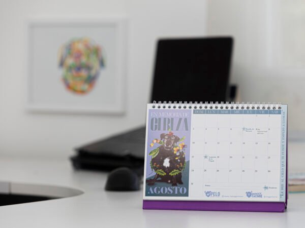 Calendario Héroes de Huellas Eternas 2025 - Image 6