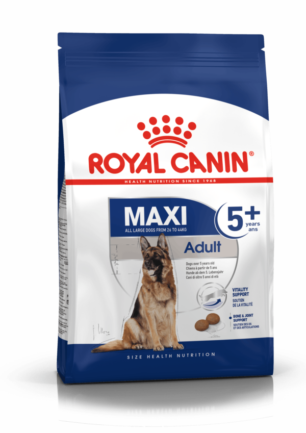 SHN MAXI ADULT AÑOS 5+ 15KG