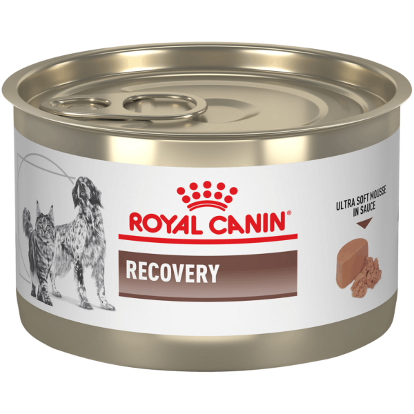 VHN RECOVERY LATA 0.14KG