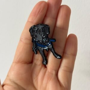 Pin Rafael
