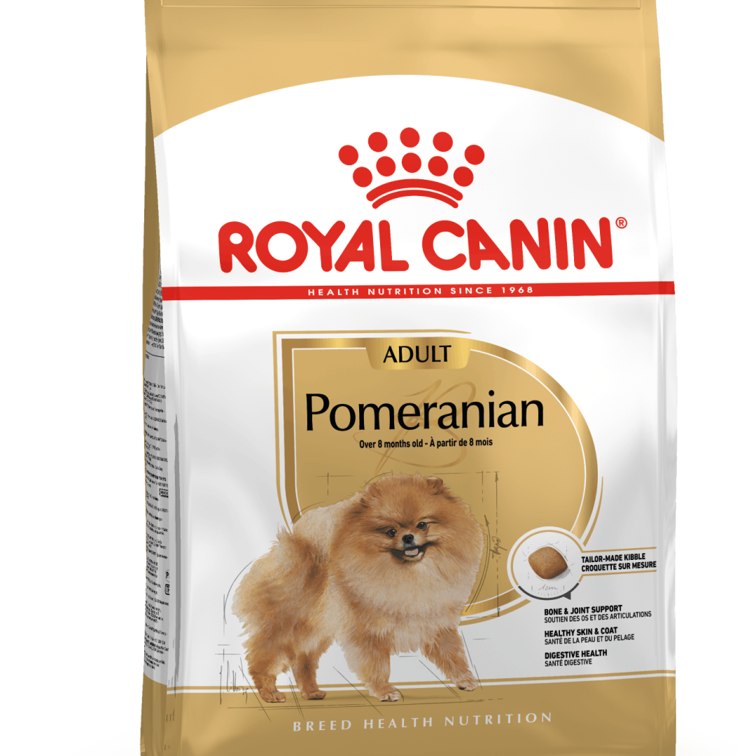 BHN POMERANIAN ADULT