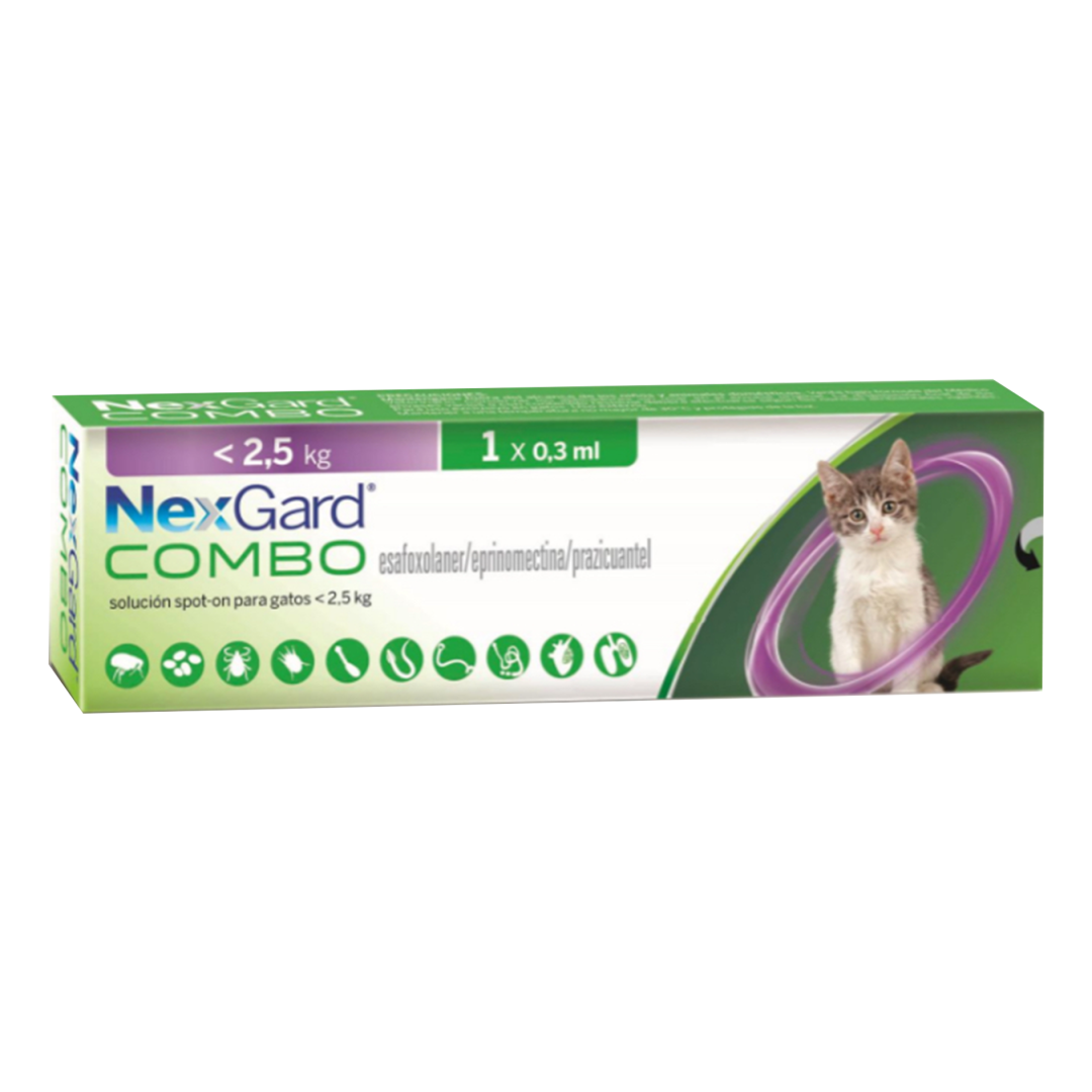 Nexgard Gatos