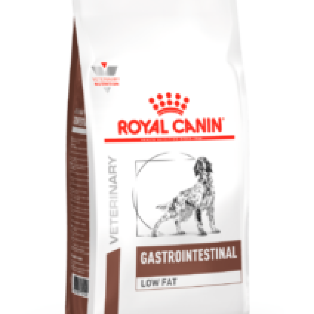 VHN GASTRO LOW FAT DOG