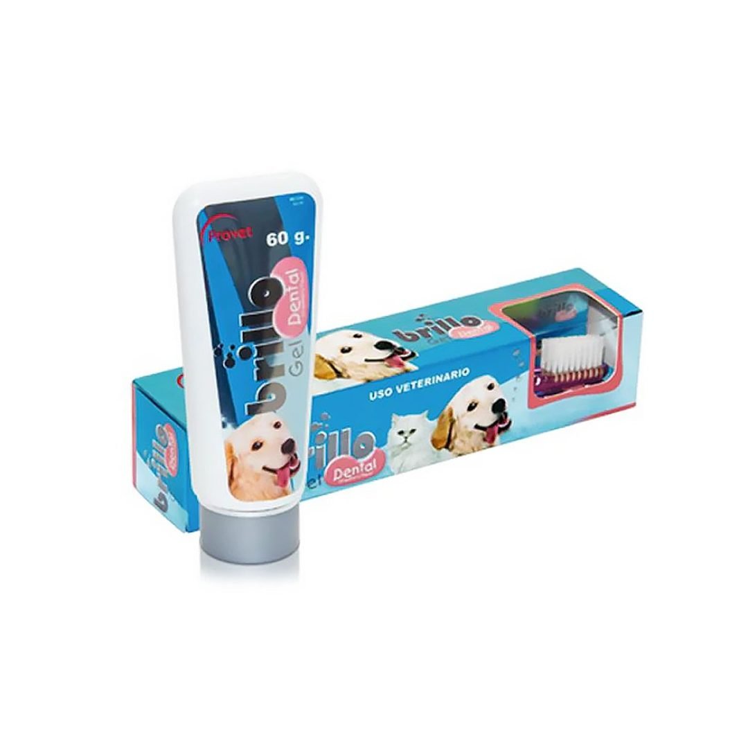 Brillo Dental 60Gr